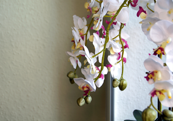 viviora Impressionen