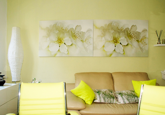 viviora Impressionen