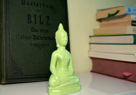 viviora Impressionen